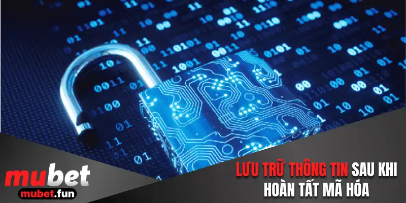 Lưu trữ thông tin sau khi hoàn tất mã hóa